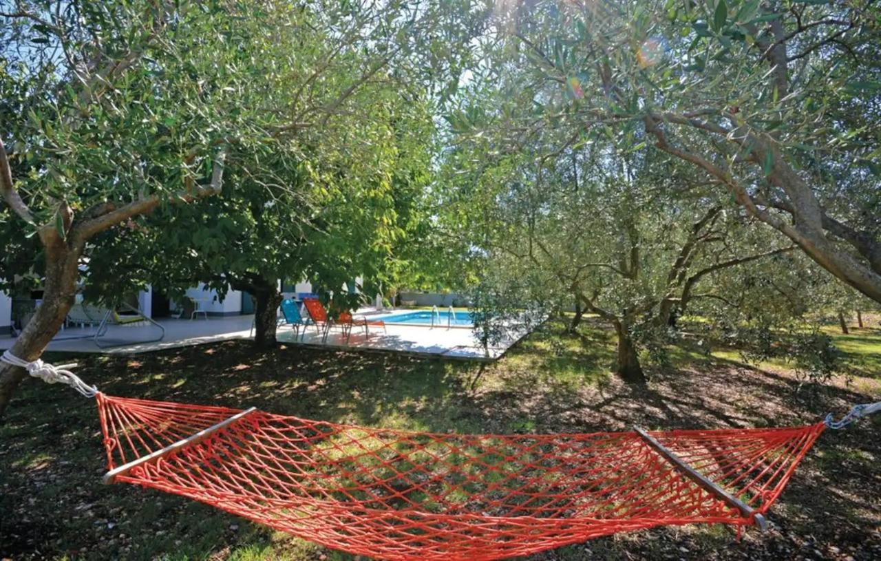 הוילה Plano House Viki מראה חיצוני תמונה